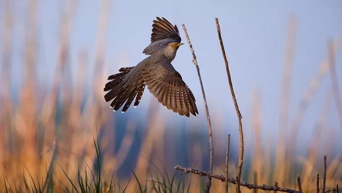 一个外国人眼中的北京,中国人对北京的看法
