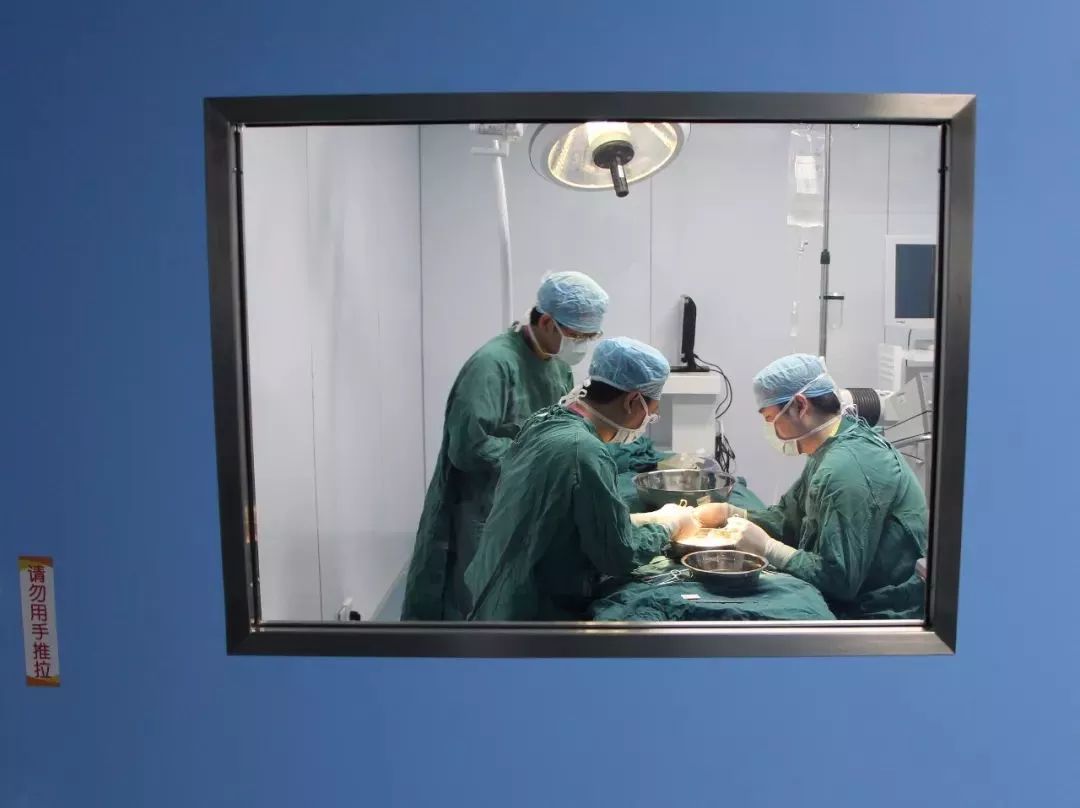 儿童尿血吃什么食物好得快,4周岁男童尿血