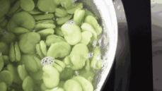 儿童尿血吃什么食物好得快,4周岁男童尿血