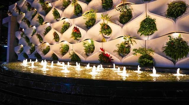 香港打卡网红地旅游攻略,打卡香港网红