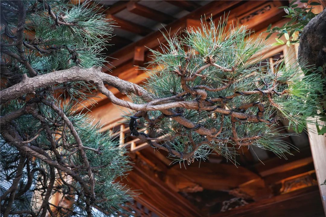 上海最高楼云端上的风景,在上海最高的楼俯瞰风景