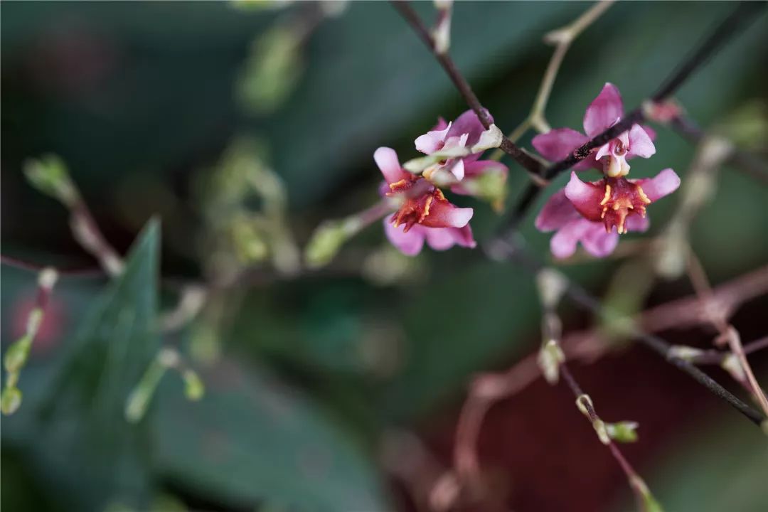 上海最高楼云端上的风景,在上海最高的楼俯瞰风景