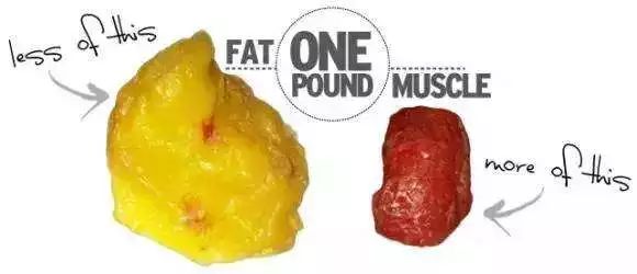 麻范儿好物|日本“吸油圣斗士”,1天1条,7天瘦出小蛮腰!酸酸甜甜,比果冻还好吃