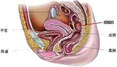 女人祸水怎么回事,女人的祸水是什么意思