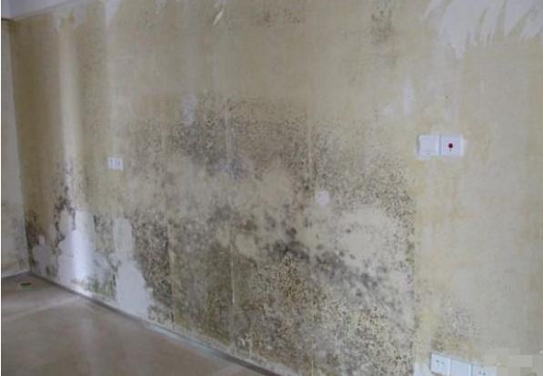 家里墙体发霉翻新刷墙,墙壁发霉刷漆可以吗