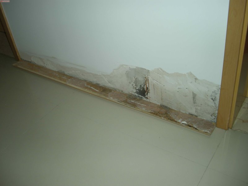 家里墙体发霉翻新刷墙,墙壁发霉刷漆可以吗