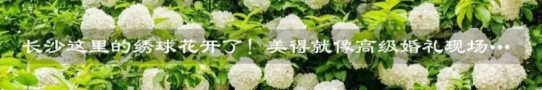 2021最火的点心,最流行的网红点心