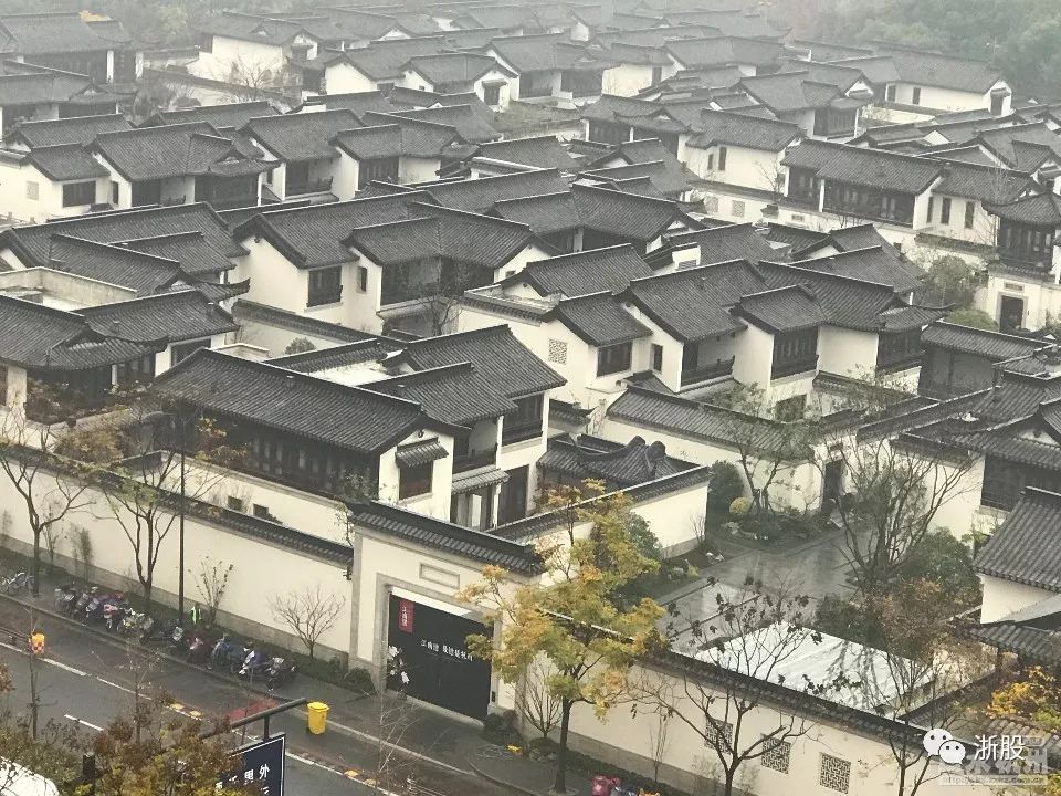 因为这只股票，她亏掉5000万的江南里