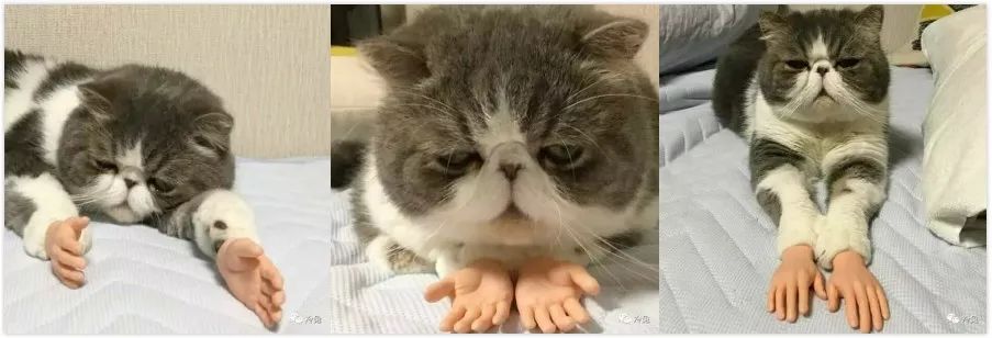 鍠濅笉鍒版按鐨勫惛绠＄瀛﹀皬瀹為獙,鏅哄姏浣庝笅鍎跨鎬庝箞缁冧範鍚哥鍠濇按