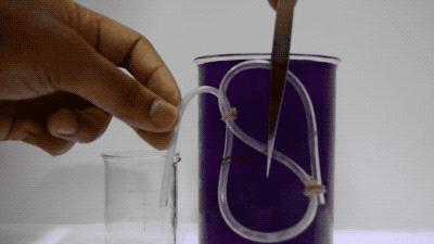 鍠濅笉鍒版按鐨勫惛绠＄瀛﹀皬瀹為獙,鏅哄姏浣庝笅鍎跨鎬庝箞缁冧範鍚哥鍠濇按