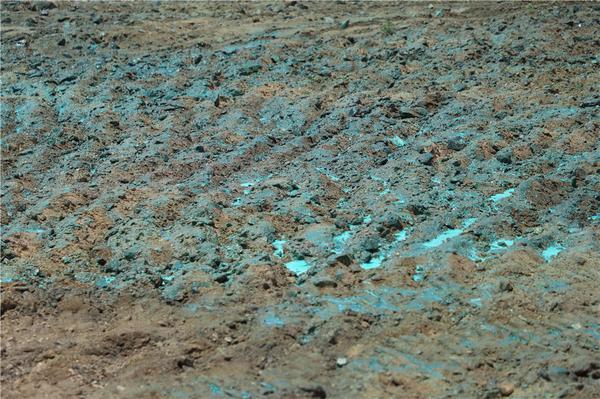 青科大高分子材料与工艺,青科大科研团队