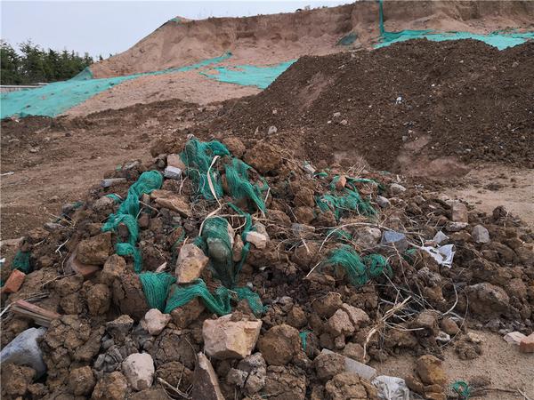 青科大高分子材料与工艺,青科大科研团队