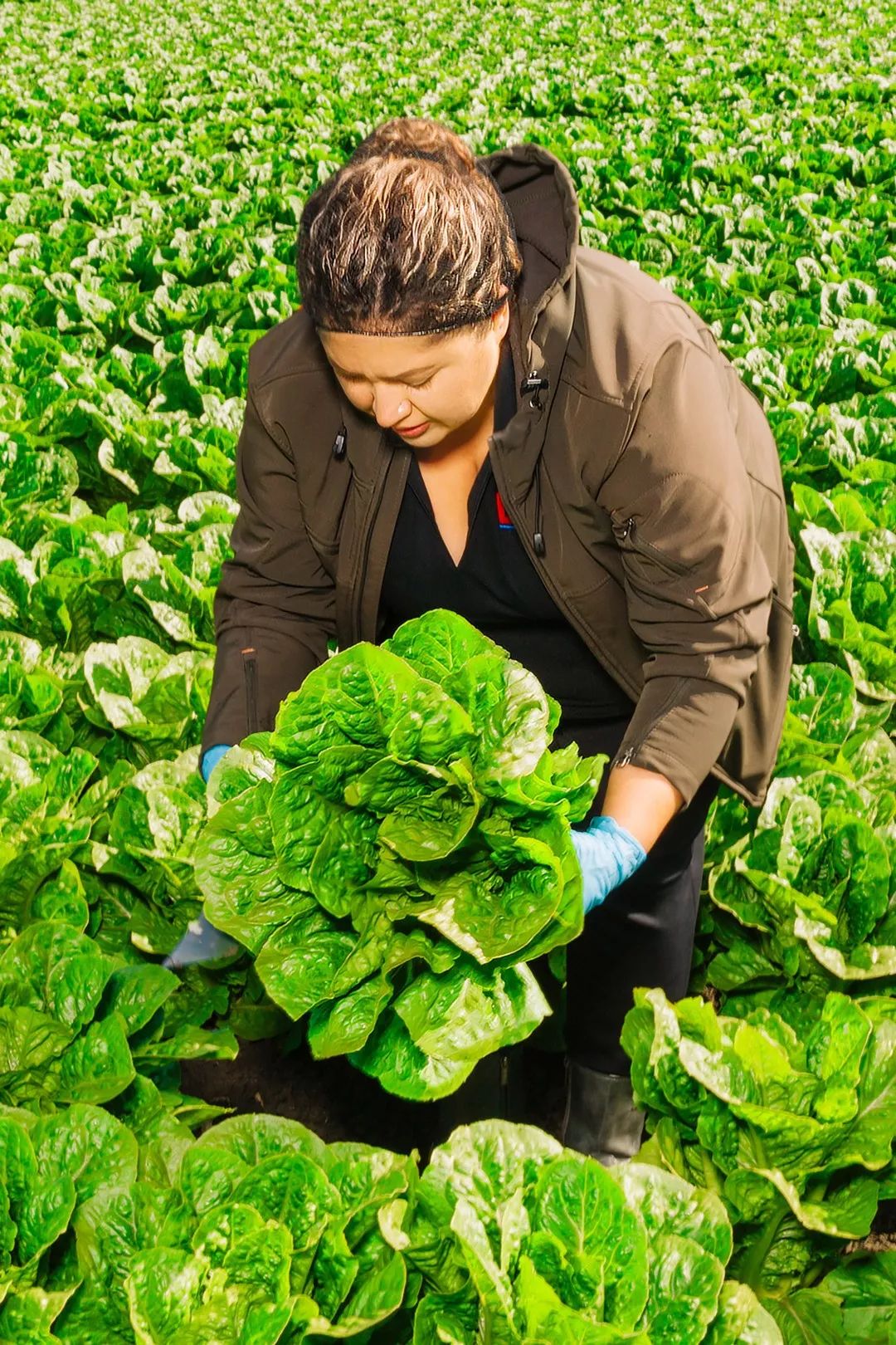 美国500强排名完整版,美国500强排名