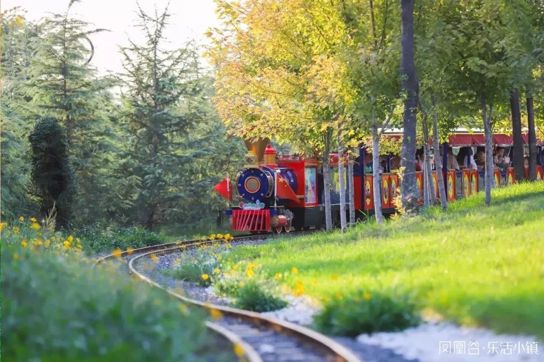 爱丽丝欢乐园特惠票,爱丽丝欢乐园门票特价