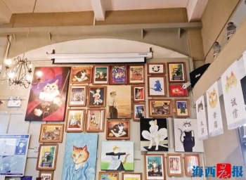 厦门必须去的博物馆推荐一下,厦门最有趣的室内景点