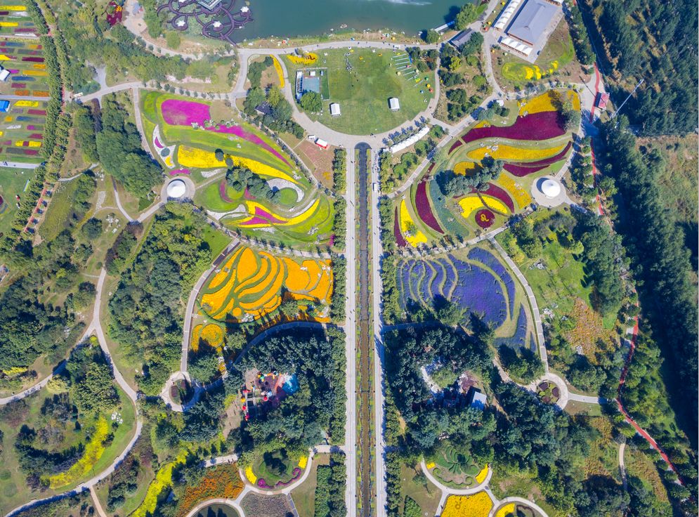 免费门票北京,北京免门票景区2024免费一览表