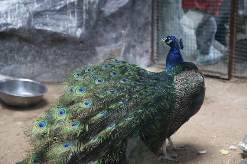 免费门票北京,北京免门票景区2024免费一览表