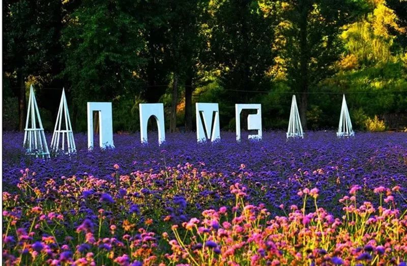 免费门票北京,北京免门票景区2024免费一览表