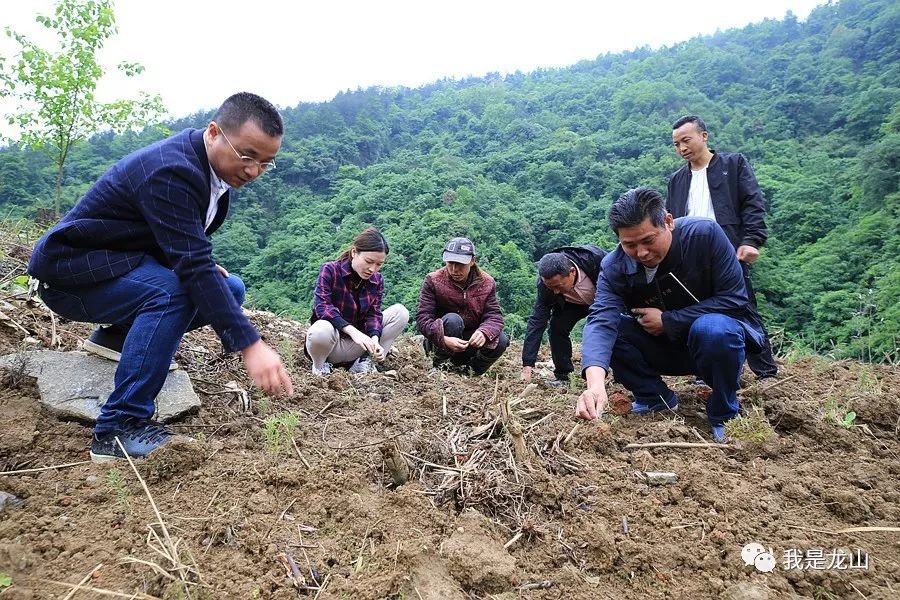 “卖蘑菇的女博士”“人民的好队长”，靛房人为何这样称呼他们？