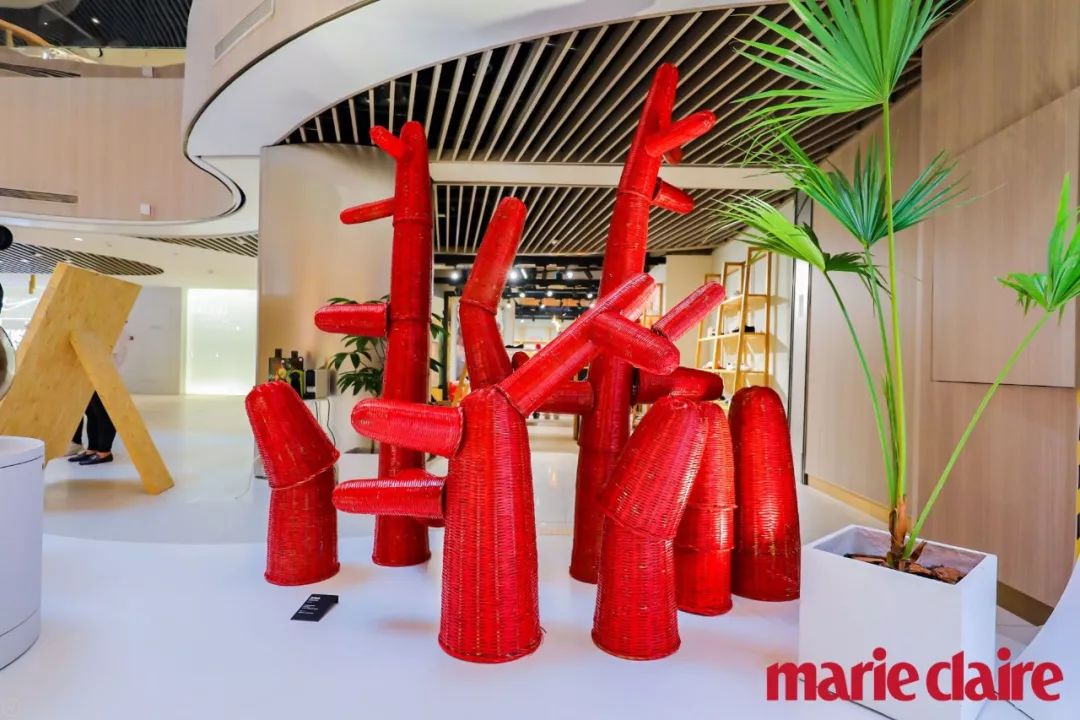 竹编艺术展,国际竹编艺术博览会