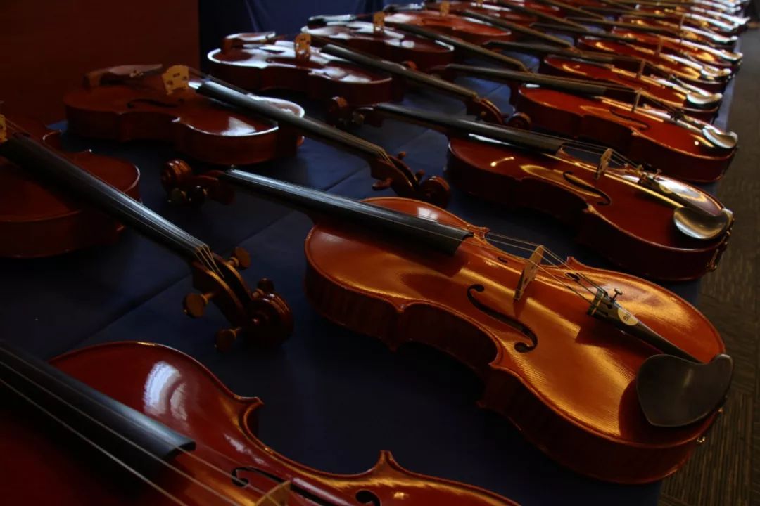 斯特拉迪瓦里小提琴德国制造,斯特拉迪瓦里中国血统