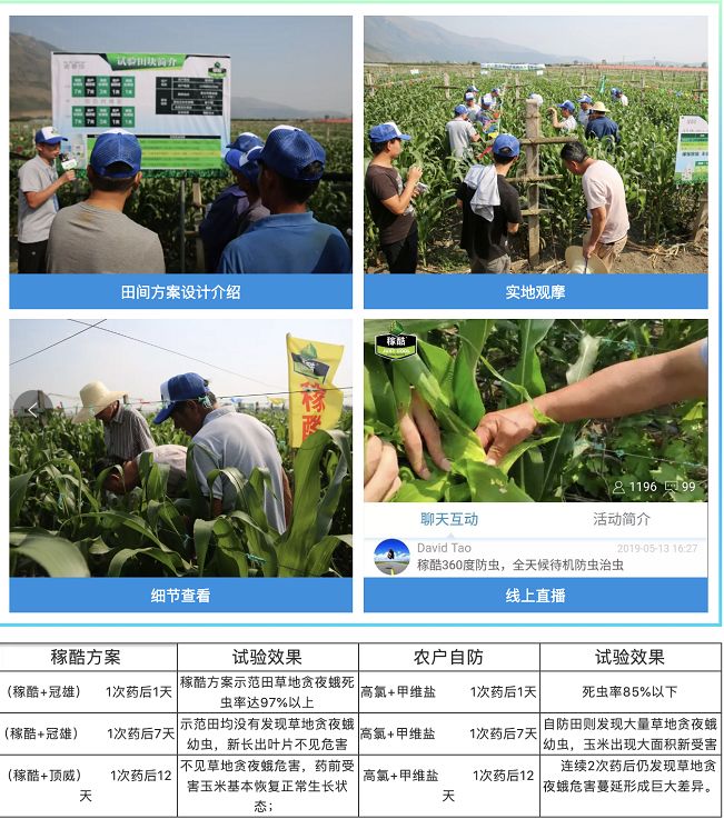 草地贪夜蛾入侵河北,草地贪夜蛾灾情