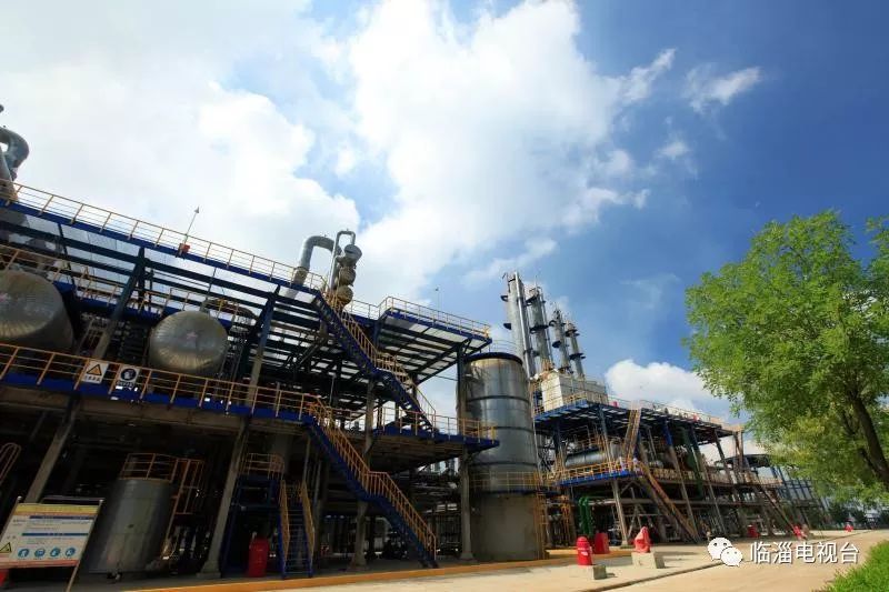 涓存穭鍖栧伐浼佷笟,娣勫崥涓存穭鍗佸ぇ鍖栧伐浼佷笟