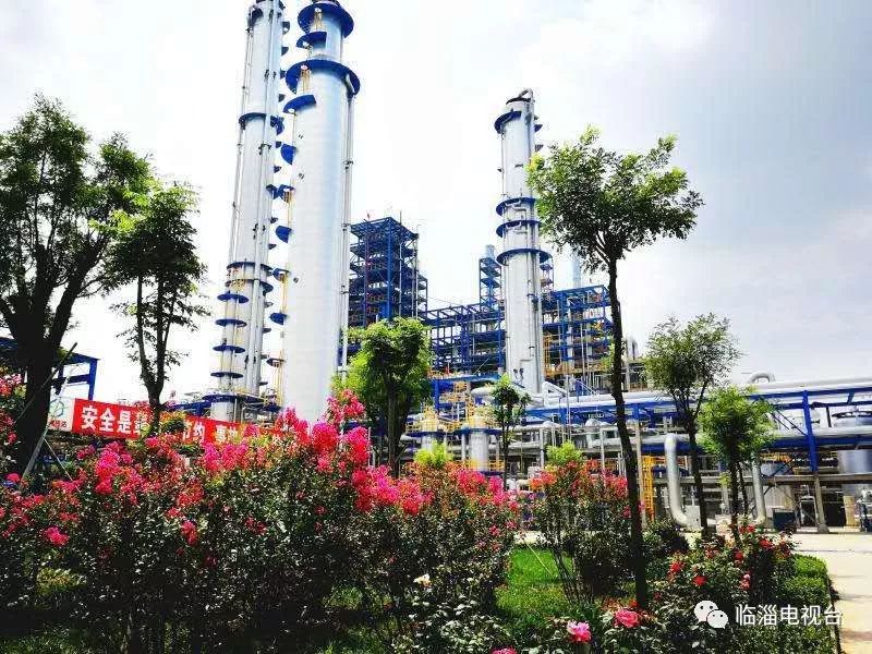 涓存穭鍖栧伐浼佷笟,娣勫崥涓存穭鍗佸ぇ鍖栧伐浼佷笟