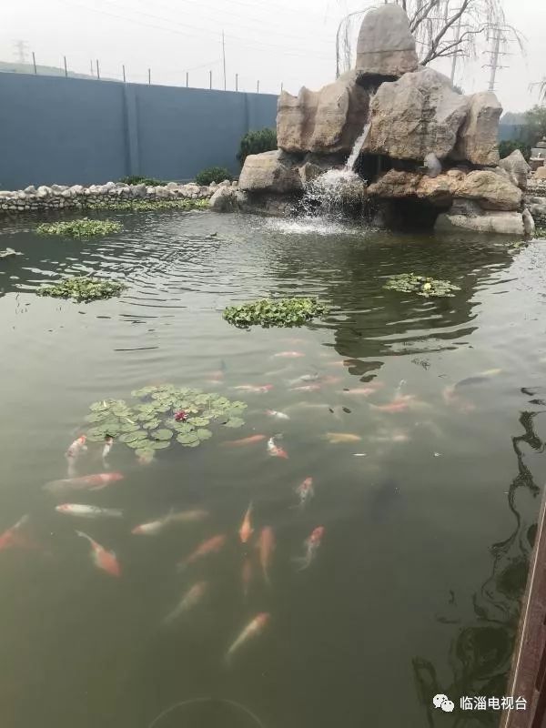 涓存穭鍖栧伐浼佷笟,娣勫崥涓存穭鍗佸ぇ鍖栧伐浼佷笟