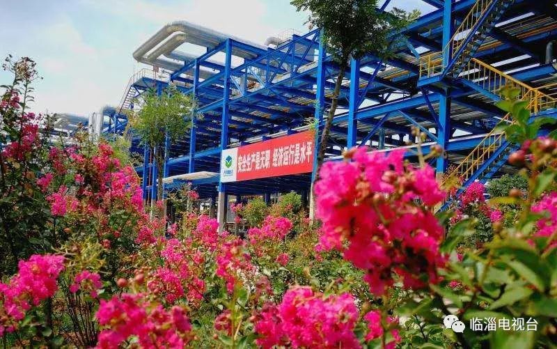 涓存穭鍖栧伐浼佷笟,娣勫崥涓存穭鍗佸ぇ鍖栧伐浼佷笟