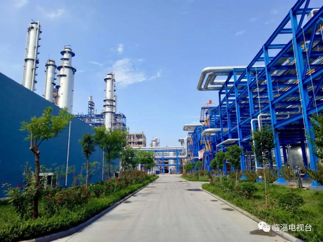 涓存穭鍖栧伐浼佷笟,娣勫崥涓存穭鍗佸ぇ鍖栧伐浼佷笟