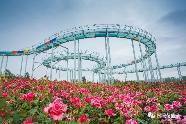 美炸了！初夏花仙子！有爱的人免费玩！把最美奉献给你！