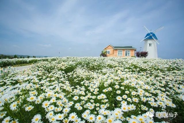 美炸了！初夏花仙子！有爱的人免费玩！把最美奉献给你！