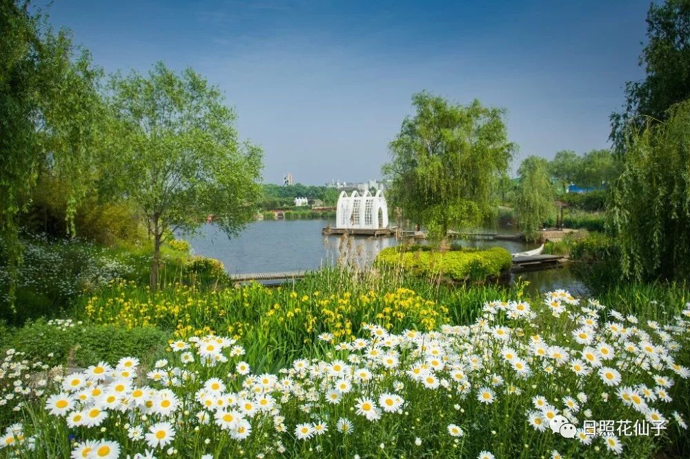 美炸了！初夏花仙子！有爱的人免费玩！把最美奉献给你！