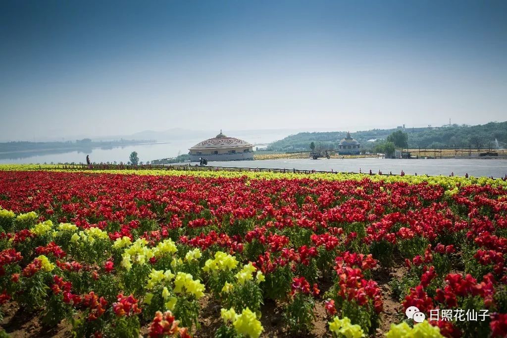 美炸了!初夏花仙子!有爱的人免费玩!把最美奉献给你!