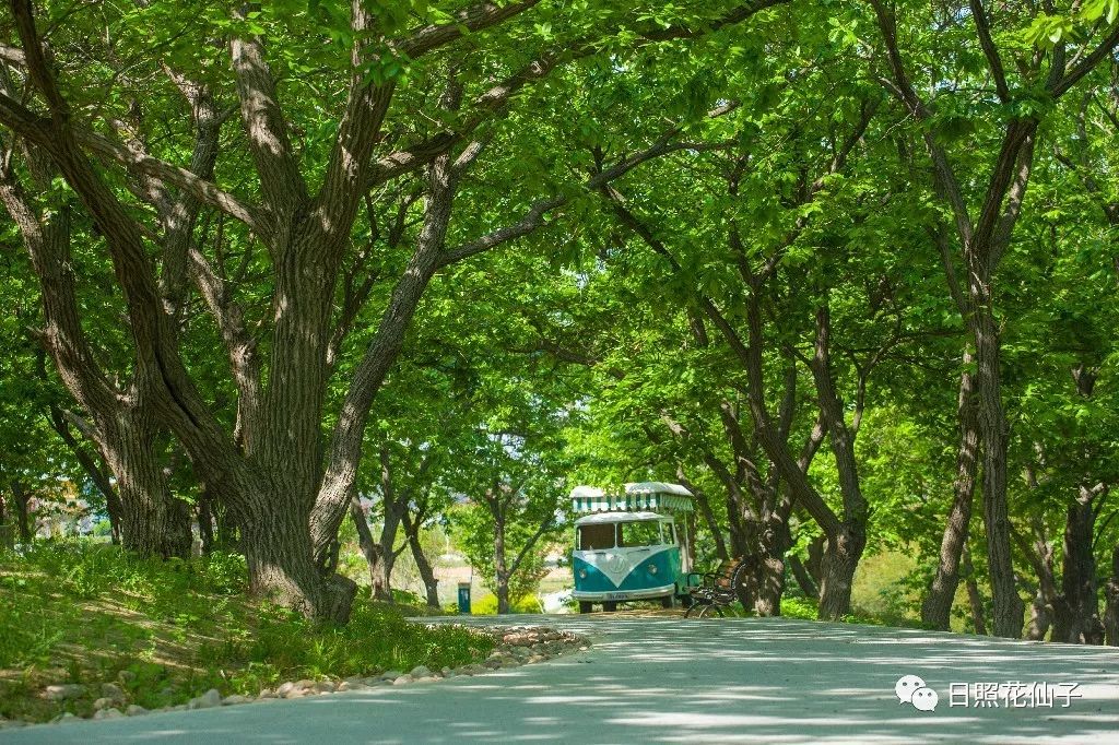 美炸了!初夏花仙子!有爱的人免费玩!把最美奉献给你!