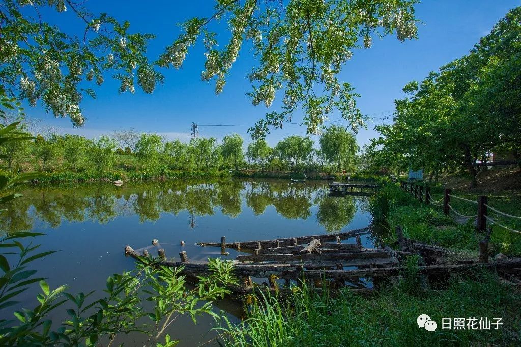 美炸了!初夏花仙子!有爱的人免费玩!把最美奉献给你!