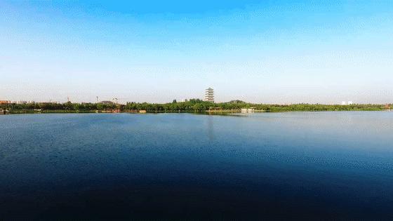 新西安新名片征文选登,27