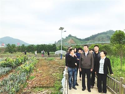 拔掉穷根创业项目,望谟县脱贫致富的案例