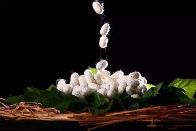 因为穿很紧的牛仔裤导致的妇科病,为什么牛仔裤穿了容易得妇科炎症