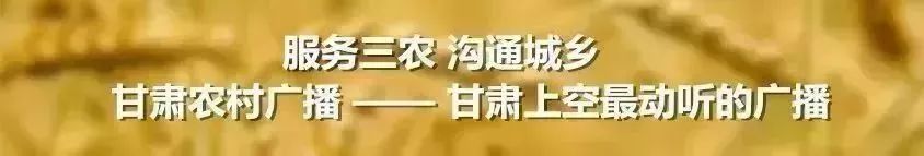 只有一个读音却容易读错的字,只有一个读音却容易读错了字