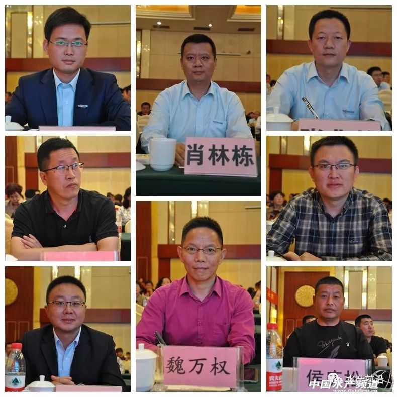 十年磨一剑！天邦七好再跨新台阶