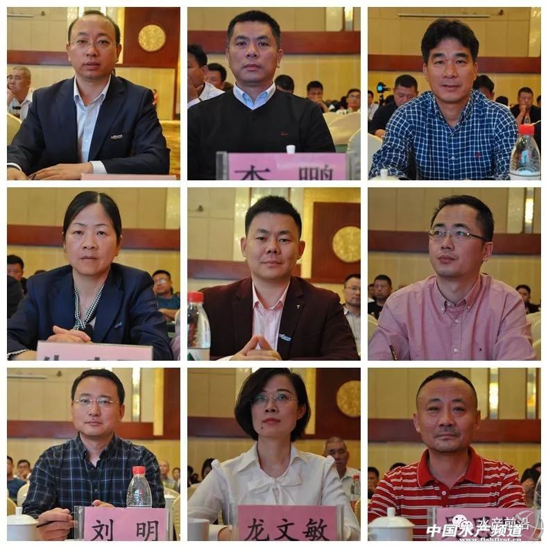 十年磨一剑!天邦七好再跨新台阶