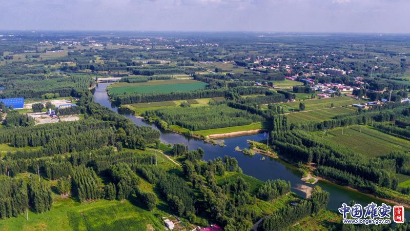 儿童节短诗,每日一诗生日