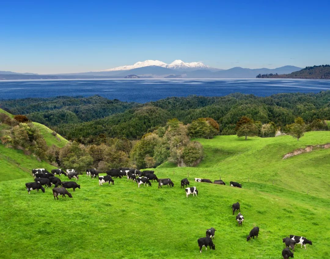 哪几款奶粉比较好喝一点,口味好喝的宝宝奶粉推荐