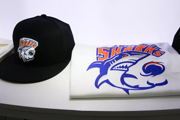 cba球队新队标曝光,cba五支球队更换球队logo