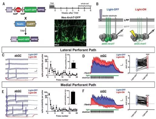 每日医健大事——2019年5月18日