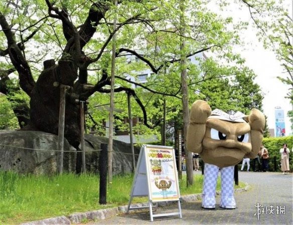 练过的人是看不见那双腿的！“岩手县小拳石”恶搞图