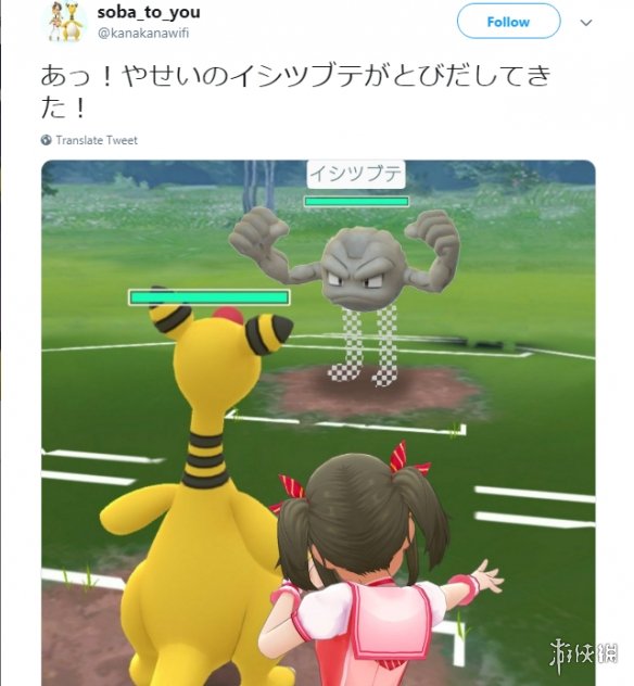 练过的人是看不见那双腿的！“岩手县小拳石”恶搞图