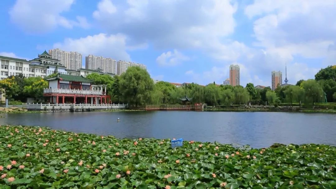 海门市中医院《我和我的祖国》献礼祖国70华诞！